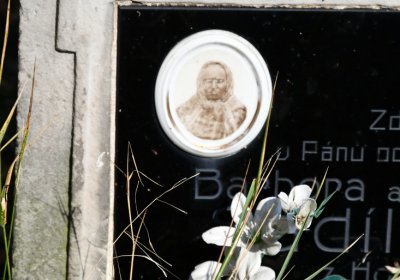 Levousy, Omnium, 2020