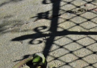 Zahořany, Omnium, 2020