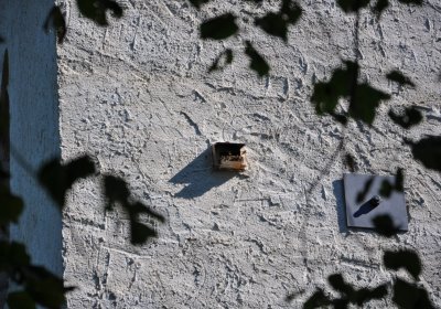 Zahořany, Omnium, 2020