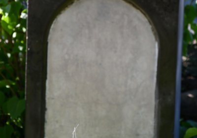 Zahořany, Omnium, 2020