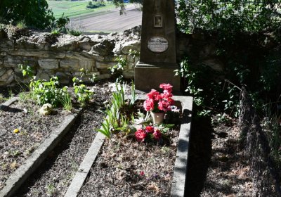 Zahořany, Omnium, 2020