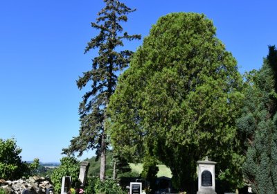 Zahořany, Omnium, 2020