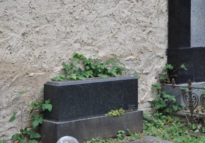 Liběšice, Omnium, 2020