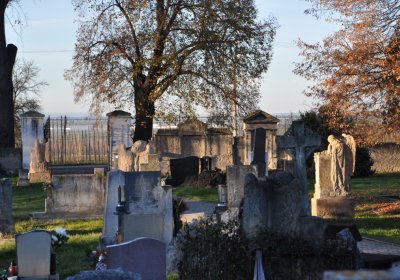 Liběšice u Žatce, Omnium, 2020