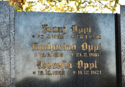 Liběšice u Žatce, Omnium, 2020
