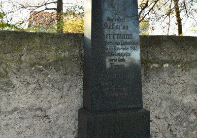 Liběšice u Žatce, Omnium, 2020