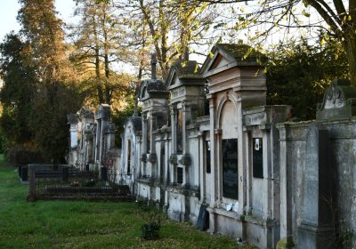Liběšice u Žatce, Omnium, 2020