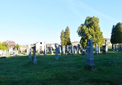 Liběšice u Žatce, Omnium, 2020