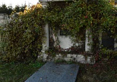 Liběšice u Žatce, Omnium, 2020