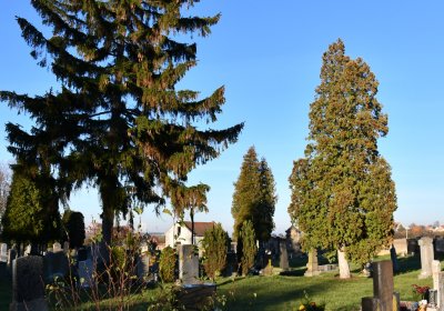 Liběšice u Žatce, Omnium, 2020