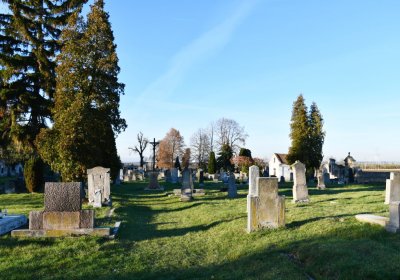 Liběšice u Žatce, Omnium, 2020