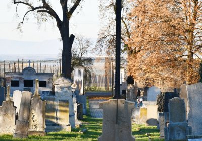 Liběšice u Žatce, Omnium, 2020