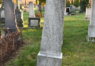 Liběšice u Žatce, Omnium, 2020