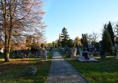 Liběšice u Žatce, Omnium, 2020
