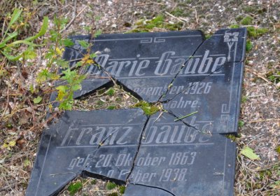 Soběnice, Omnium, 2020