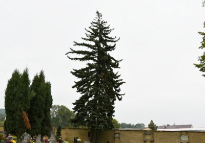 Soběnice, Omnium, 2020