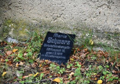 Soběnice, Omnium, 2020