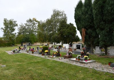 Soběnice, Omnium, 2020