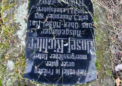 Soběnice, Omnium, 2020