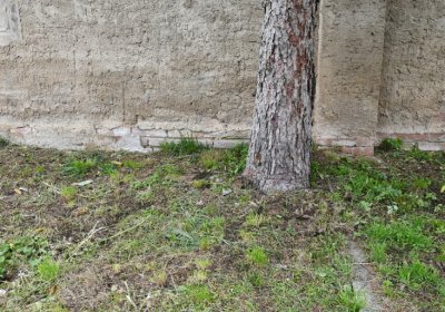 Soběnice, Omnium, 2020