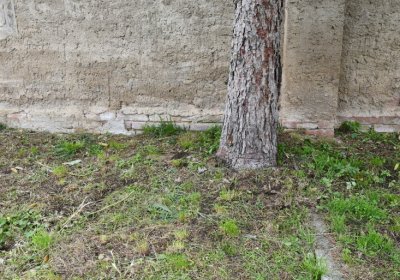 Soběnice, Omnium, 2020