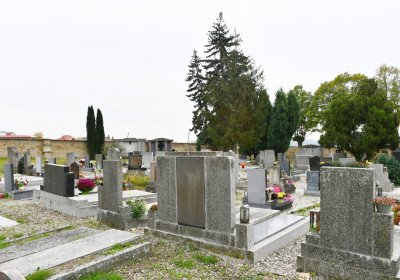 Soběnice, Omnium, 2020