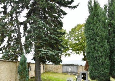 Soběnice, Omnium, 2020