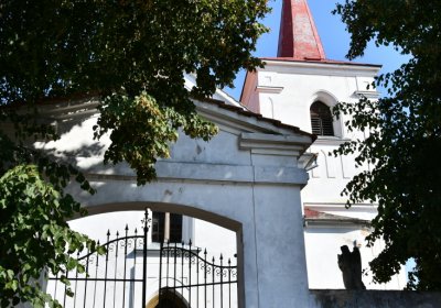 Dubany, Omnium, 2020