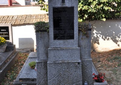 Dubany, Omnium, 2020