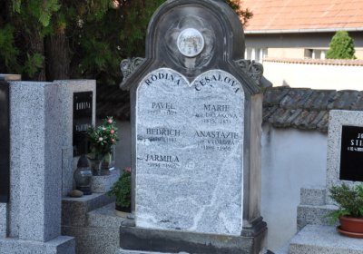 Dubany, Omnium, 2020