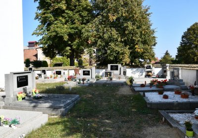 Dubany, Omnium, 2020