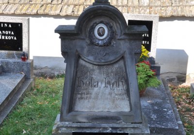 Dubany, Omnium, 2020