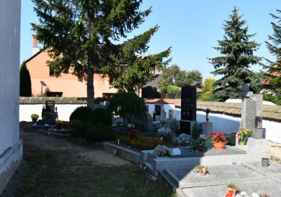 Dubany, Omnium, 2020