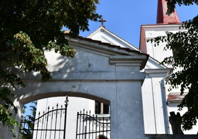 Dubany, Omnium, 2020