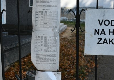 Dubany, Omnium, 2020