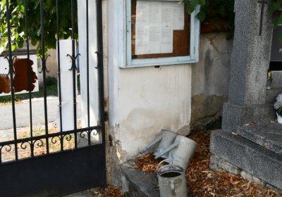 Dubany, Omnium, 2020