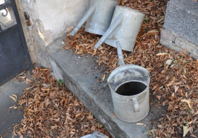 Dubany, Omnium, 2020