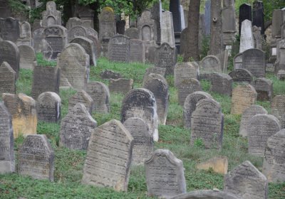 Libochovice židovský hřbitov, Omnium, 2020