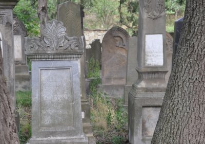 Libochovice židovský hřbitov, Omnium, 2020