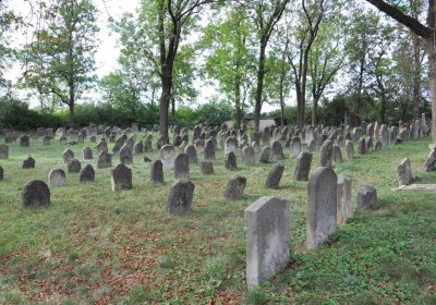 Libochovice židovský hřbitov, Omnium, 2020