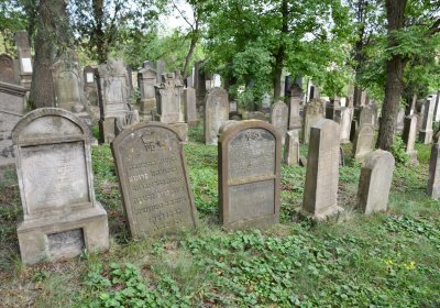 Libochovice židovský hřbitov, Omnium, 2020