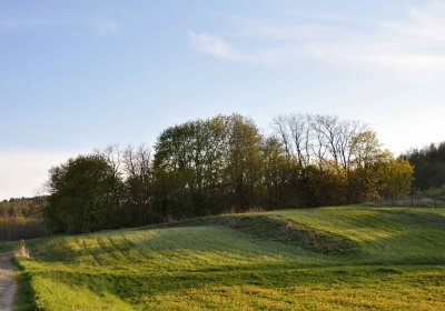 Hřbitov Krásné Loučky, Omnium, 2017