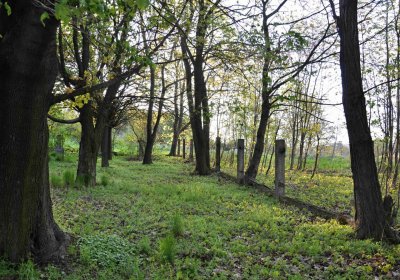 Hřbitov Krásné Loučky, Omnium, 2017