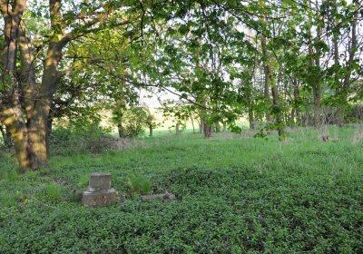 Hřbitov Krásné Loučky, Omnium, 2017