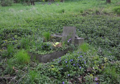 Hřbitov Krásné Loučky, Omnium, 2017