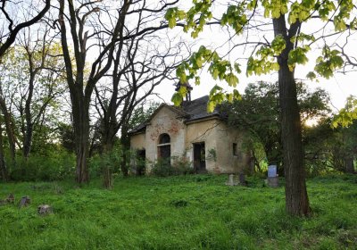 Hřbitov Krásné Loučky, Omnium, 2017