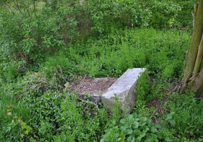 Hřbitov Krásné Loučky, Omnium, 2017