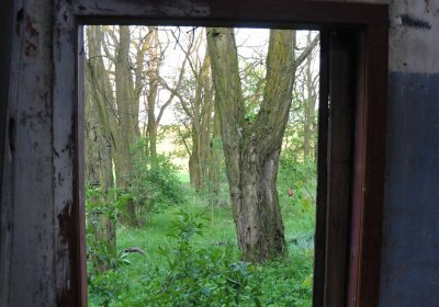 Hřbitov Krásné Loučky, Omnium, 2017