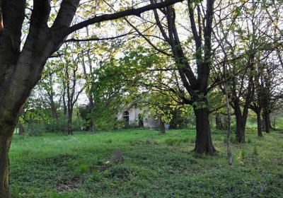 Hřbitov Krásné Loučky, Omnium, 2017