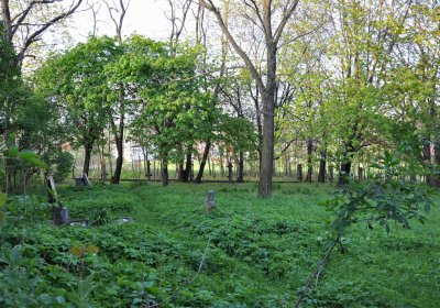 Hřbitov Krásné Loučky, Omnium, 2017